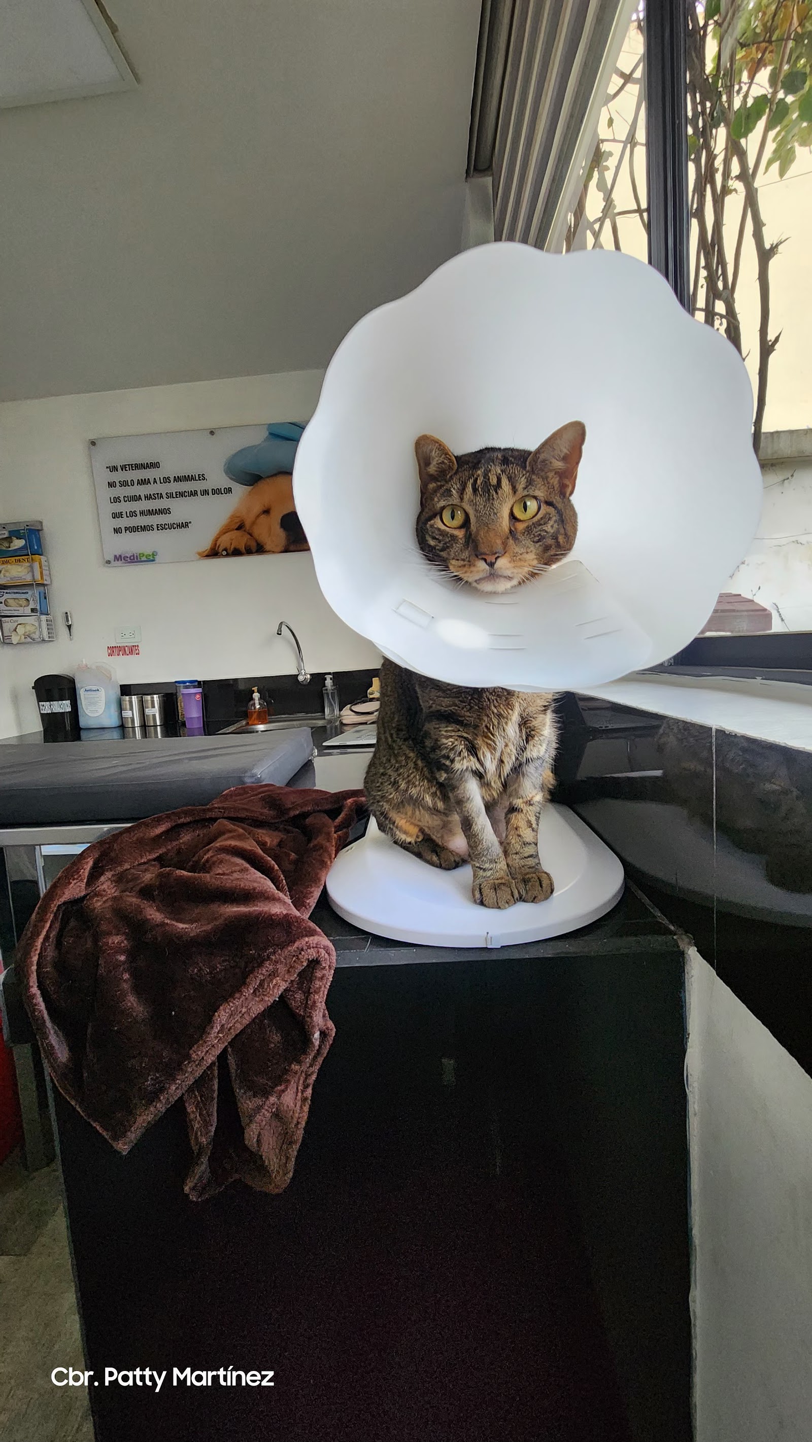 Hospital Veterinario Medipet